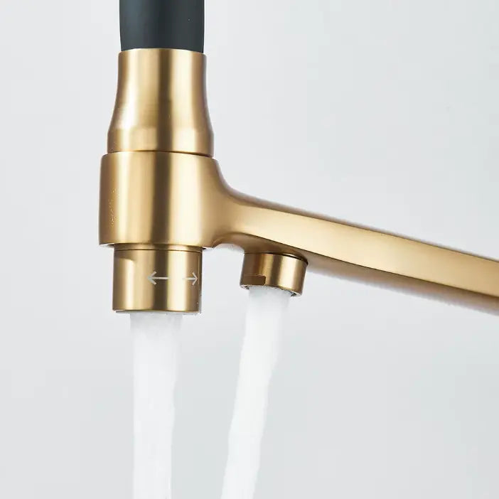 Robinet de Cuisine Douchette en Laiton Hydro Design