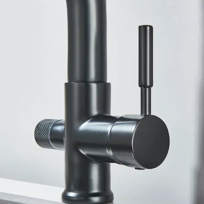Robinet de Cuisine Douchette en Laiton Hydro Design