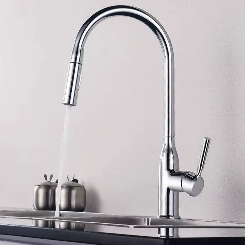 Robinet de Cuisine Douchette en Laiton