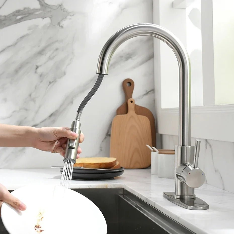 Robinet de Cuisine Mitigeur Douchette Hydro Design